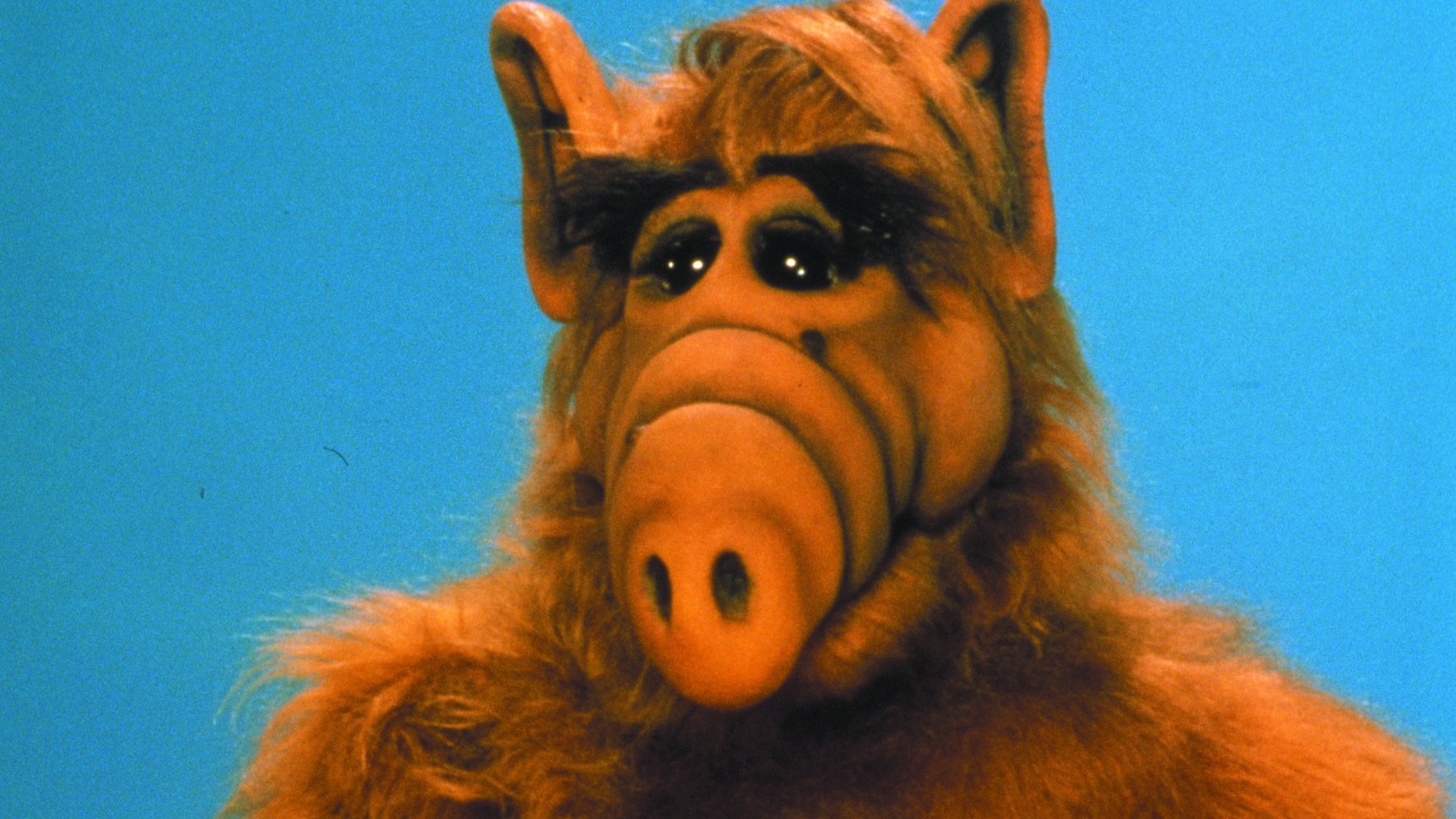 If you want to be an illegal alien that eats cats, you can play the first ALF game