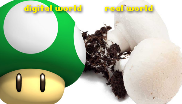 Grow a real world 1UP mushroom