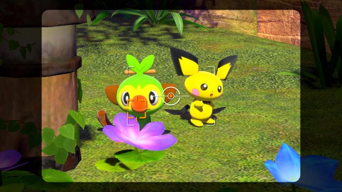 Pokemon Snap Pichu and Grookey